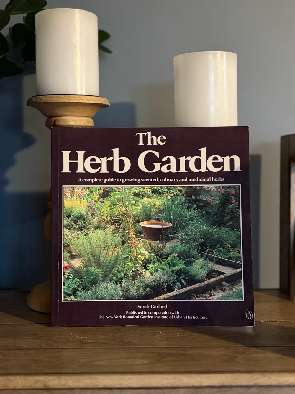 The Herb Garden Book - Sarah Garland